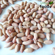 Nueces de los tradicionales granos de maní